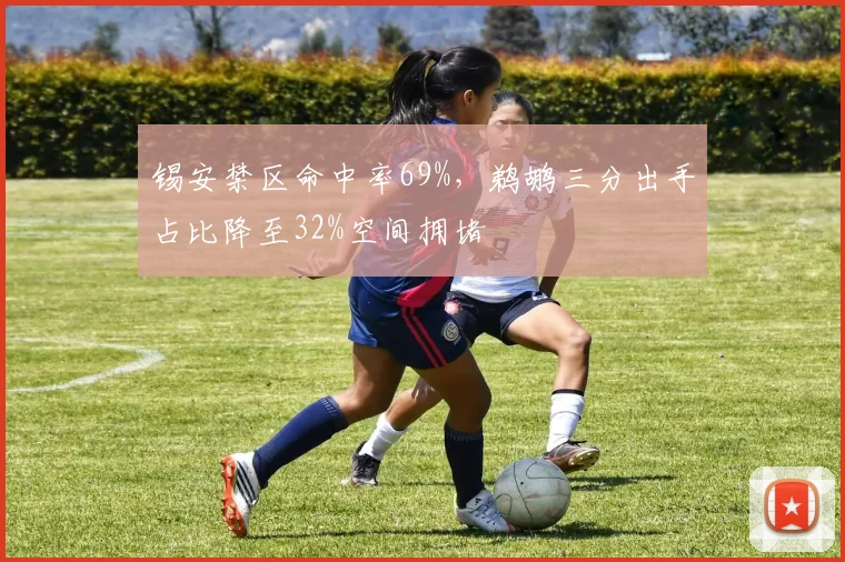 锡安禁区命中率69%，鹈鹕三分出手占比降至32%空间拥堵